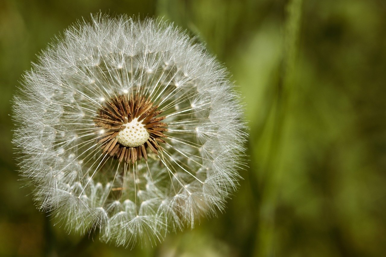 デリケートゾーンの黒ずみや臭いに効果的なコスパ良い石鹸は？