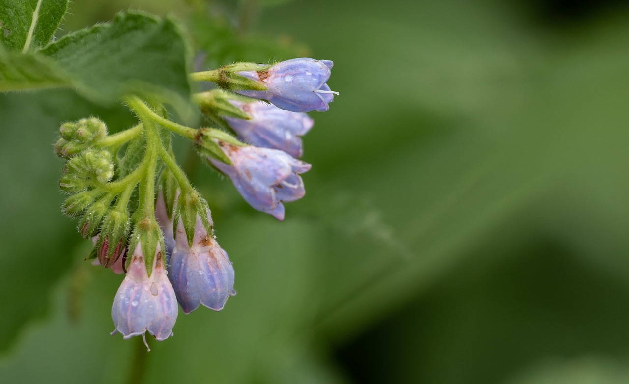 VIOの黒ずみ対策におすすめのドラッグストア市販商品はどれが良い？