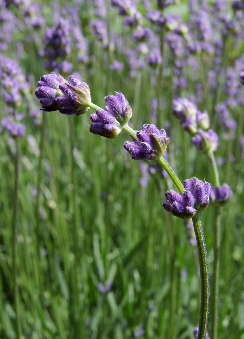 VIOの黒ずみ対策におすすめの医薬部外品人気商品比較は？