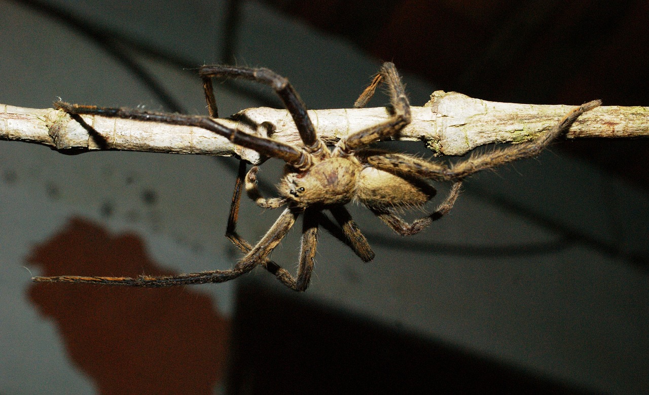 デリケートゾーンの黒ずみと臭いに効果的な医師推奨クリームは？