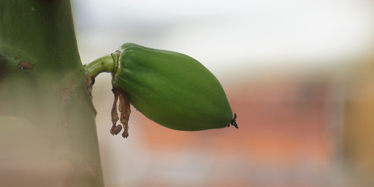 デリケートゾーンの黒ずみや臭いに効果的な無添加処方クリームは？