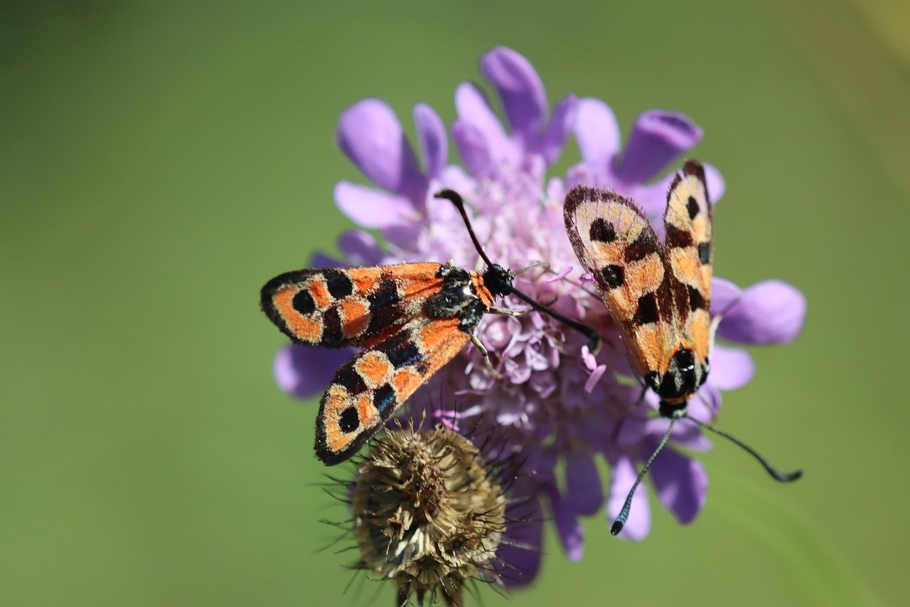 デリケートゾーンの黒ずみや臭いを改善する皮膚科医監修の石鹸とは？