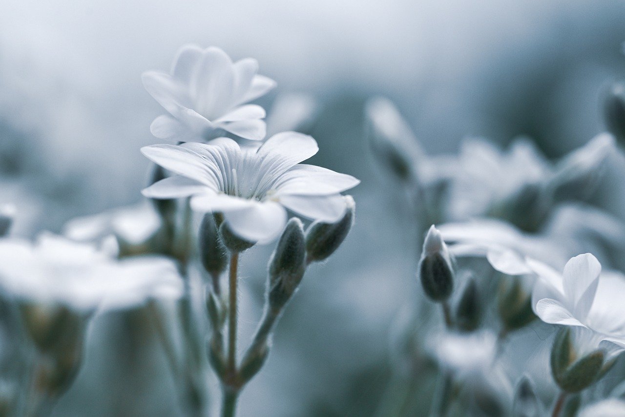 デリケートゾーンの黒ずみ解消に効果的な角質ケア石鹸は？