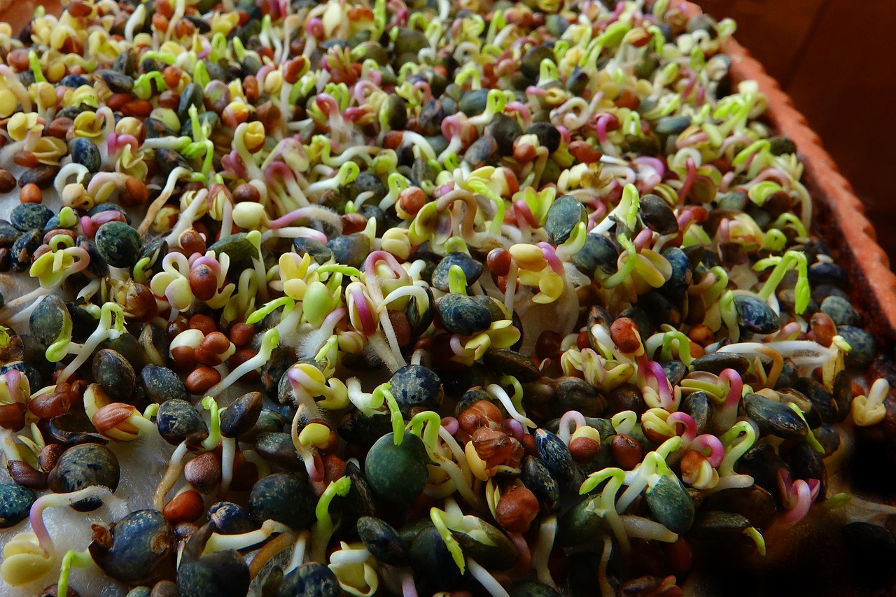 VIOの黒ずみ対策に効果的な栄養素はビタミンEって本当？