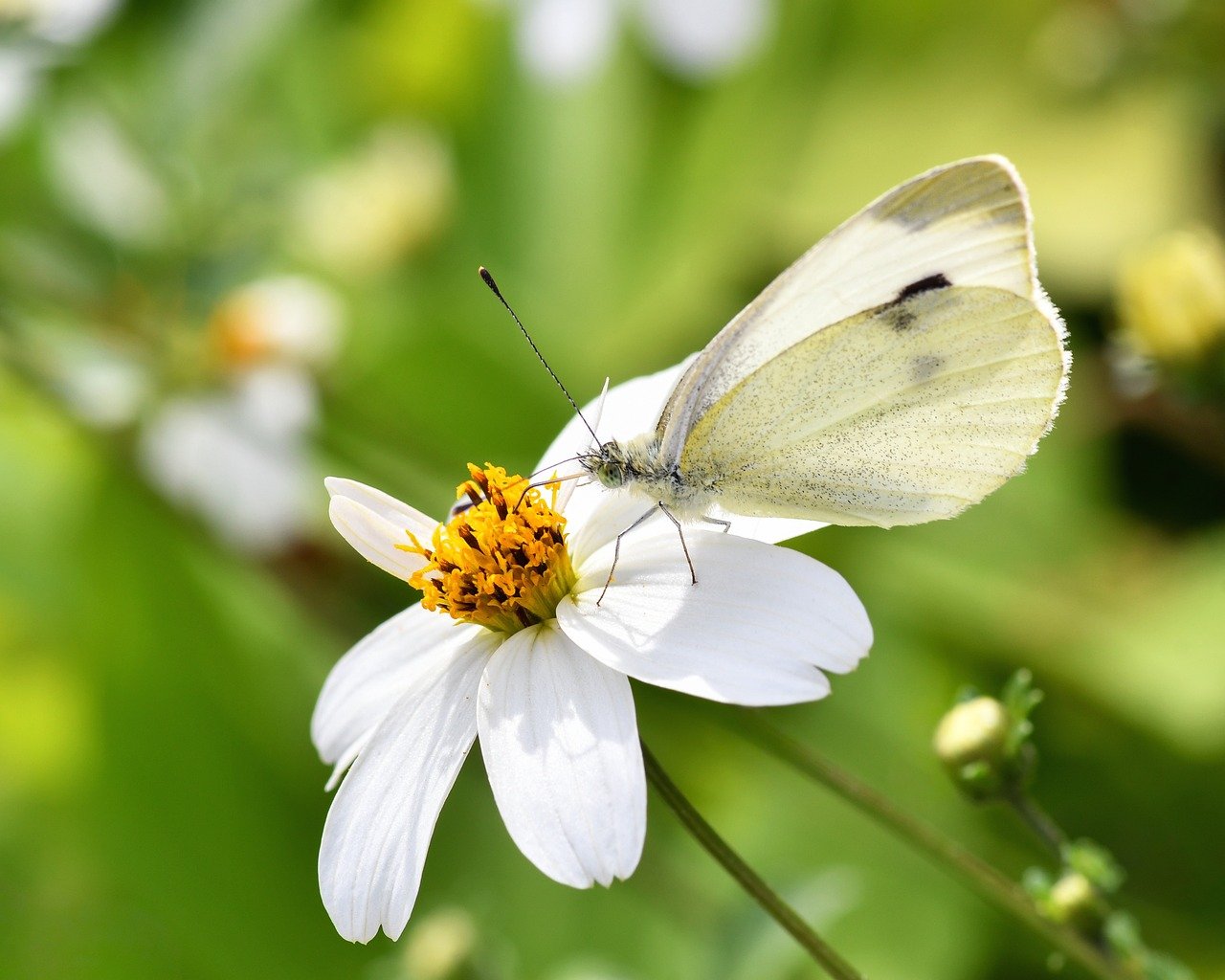 デリケートゾーンの美白アイテムを比較するポイントは？