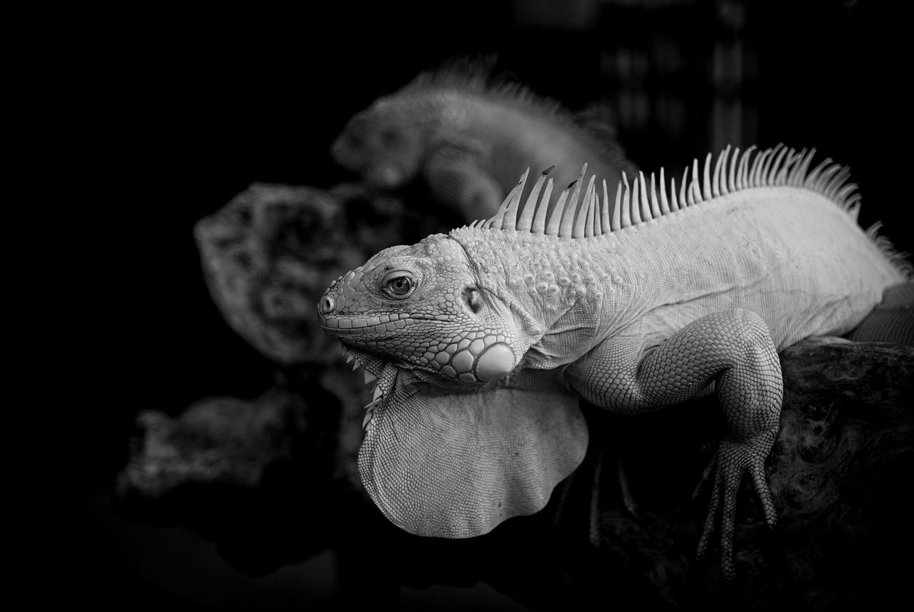 デリケートゾーンの美白効果を実感できるのはいつ？