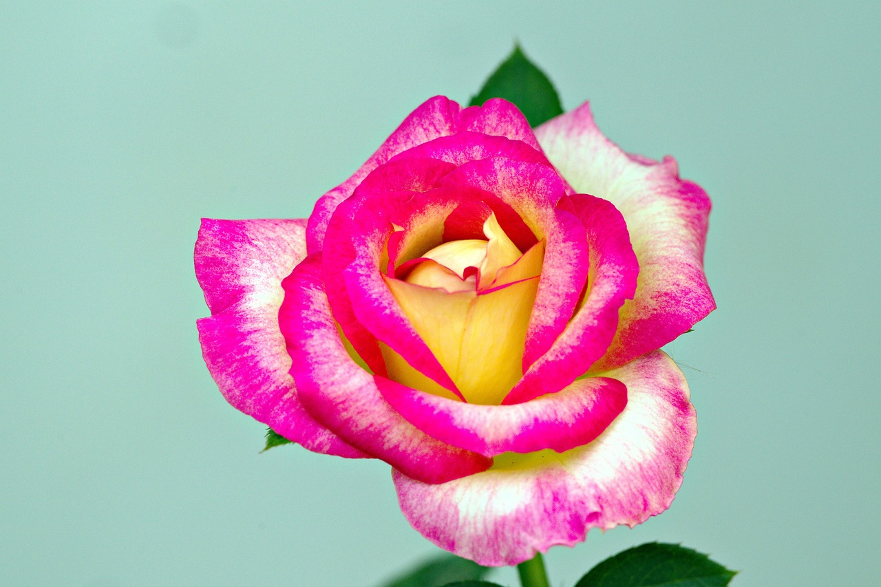 VIOの美白が赤みが出たときの対処法は？