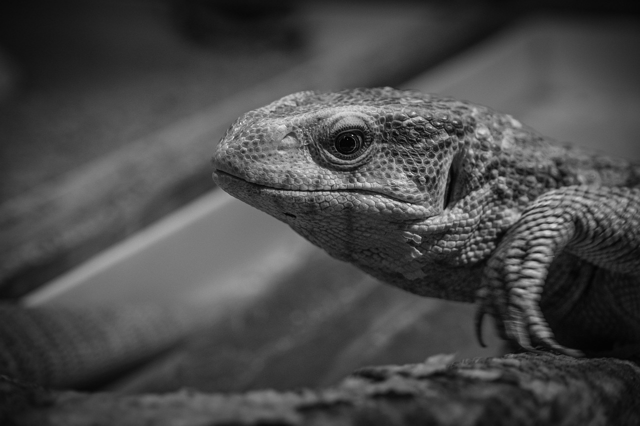 VIO美白と保湿を併用する効果的な方法は？