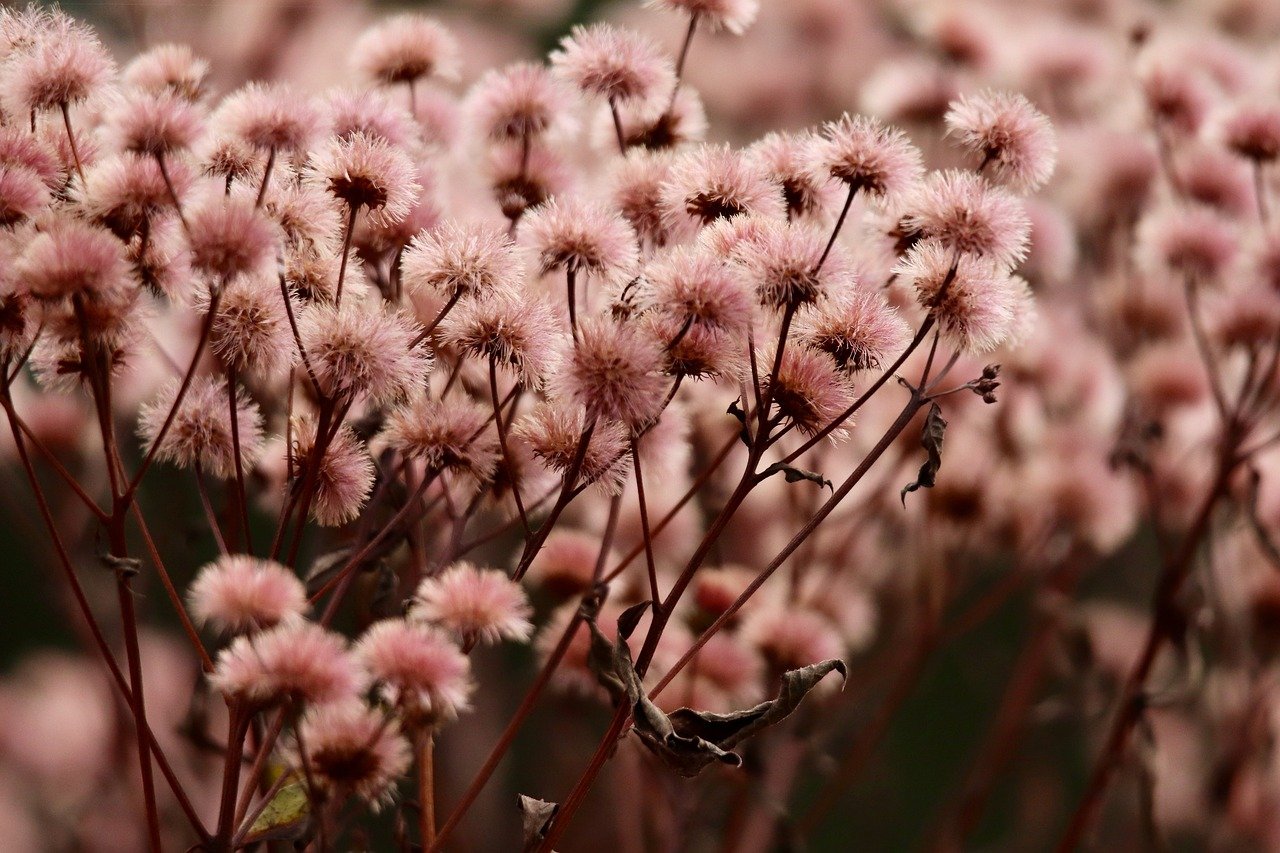 デリケートゾーンに優しい下着の選び方は？