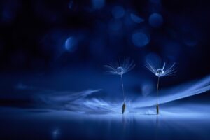 デリケートゾーンの美白に効果的な医薬部外品の成分は？