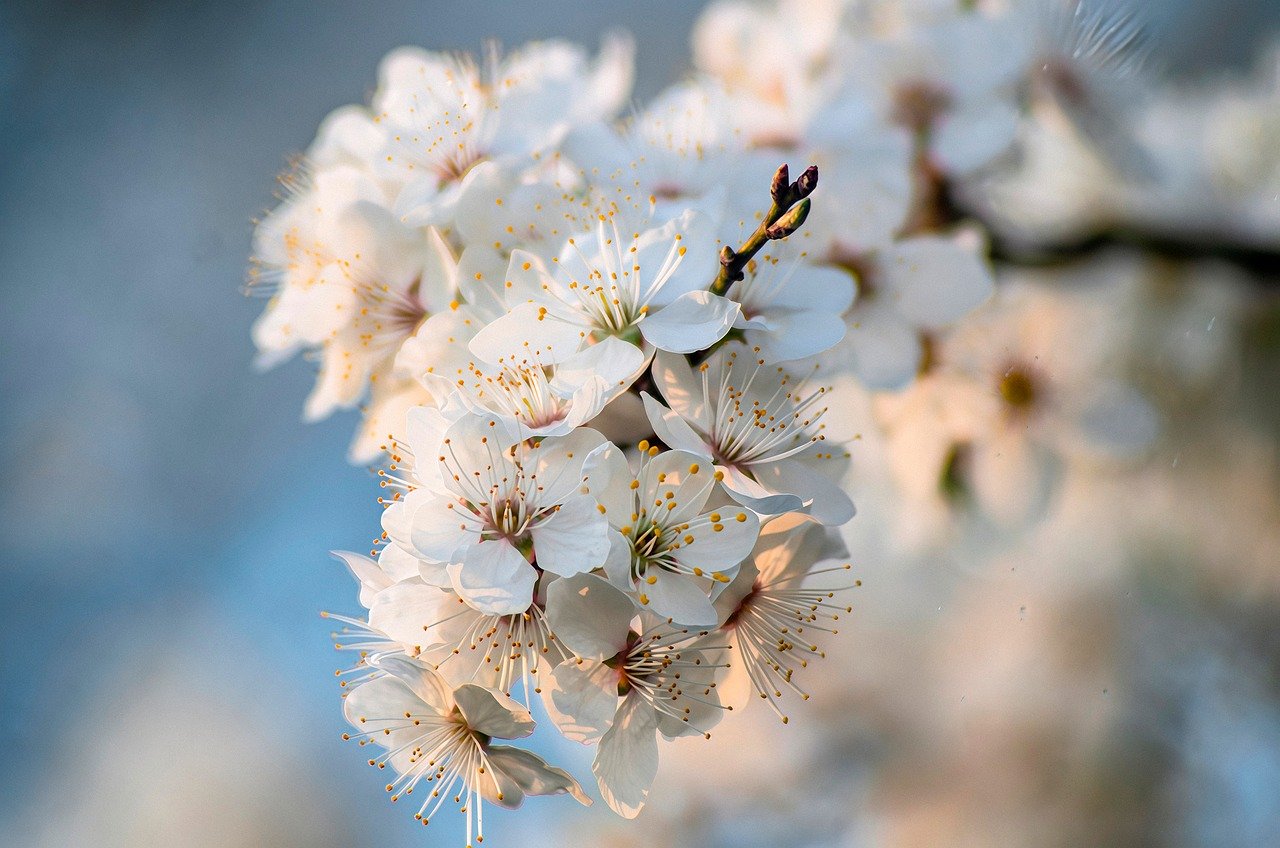 VIO美白アイテムがTikTokで話題の理由とは？