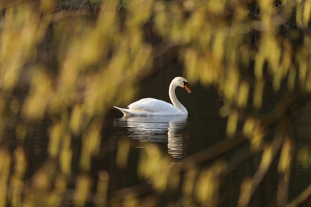 VIO美白アイテムはエステ専用でどれが効果的ですか？