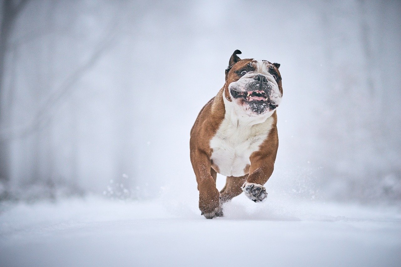 VIO美白ケアの二度塗りのコツは何ですか？